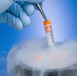 济南哪个公司招代孕,胚胎染色体要筛查几对才能做试管婴儿？_三代试管宝宝会