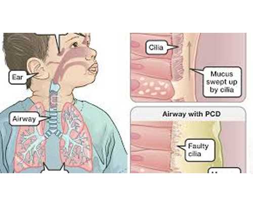 济南代孕医院价格,【济南省立医院供卵试管婴儿】多囊促排第三次终成，前期