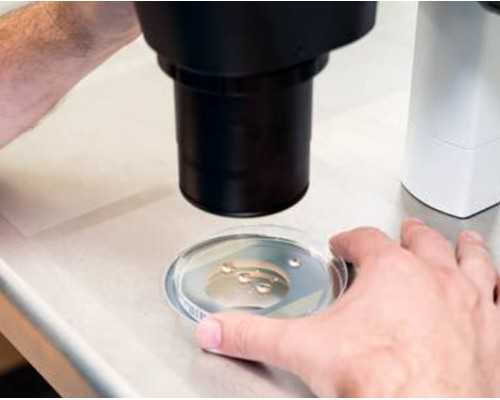 济南高龄供卵机构,济南三代试管婴儿医院成功率排行？成功率高的试管医院有