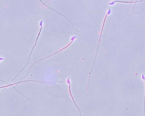 济南哪个医院试管婴儿成功率高