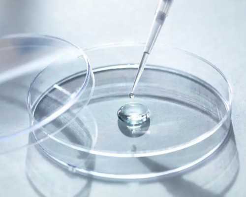 济南公立代怀公司,试管婴儿移植后可以侧睡吗_上海有多少家供卵机构_济南清华