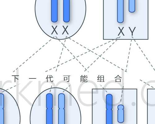 济南供卵产子中心,人工受精和试管婴儿有什么区别？做人工受精以后可以正常