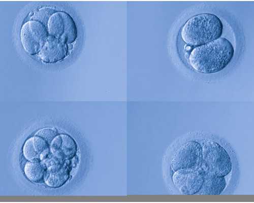 矾石抗日义勇军纪念馆关于矾石抗日义勇军纪念馆介绍