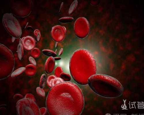 济南试管代怀流程,卵巢早衰，取卵一个，受精失败...应该去洛阳哪家医院做试