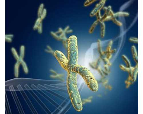 济南靠谱供卵中介,试管婴儿的具体治疗步骤和注意事项_湘雅做试管检查完了没