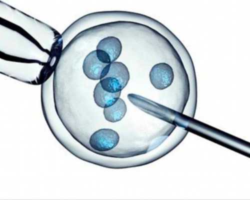 济南试管代怀医院,美国试管婴儿冷冻解冻复苏率为何如此高?-促排和试管-济南