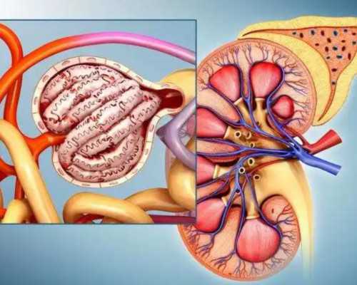 济南代怀哪里有,高龄失独母亲的再孕之路：美国试管婴儿-山东济南生殖医院靠