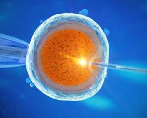 济南专业代怀,山东济南捐精,山东济南精子库