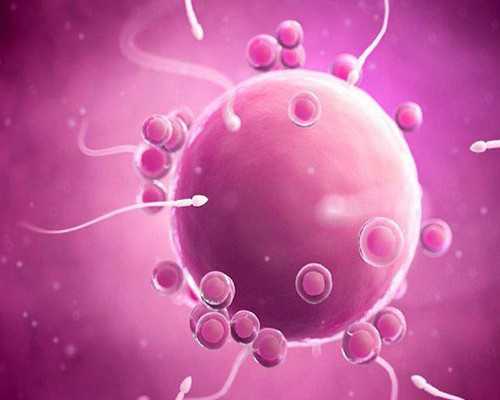 济南高龄女性借卵,为什么要做试管婴儿的前因后果-试管和自然怀孕哪个成功率