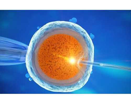 济南有哪些代怀站,泰国试管同志助孕费用 28天圆宝宝梦_陆秀娥医生个人工作室