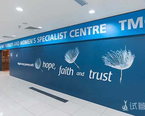 中班故事分享教案？中班语言将军柏的故事教案