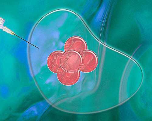 体过轻对怀孕有什么影响？如何管理体以提高怀孕可能性？