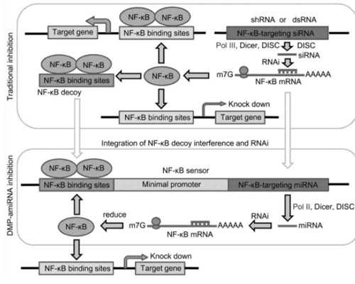 济南最佳代孕公司,美国试管婴儿是女同性恋夫妇或单身妇女的助孕选择吗？上