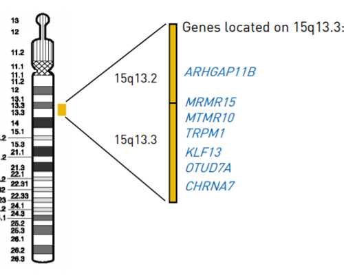 济南最靠谱的代生,济南齐鲁医院试管婴儿主任哪个好？如何选择？_移植不成功