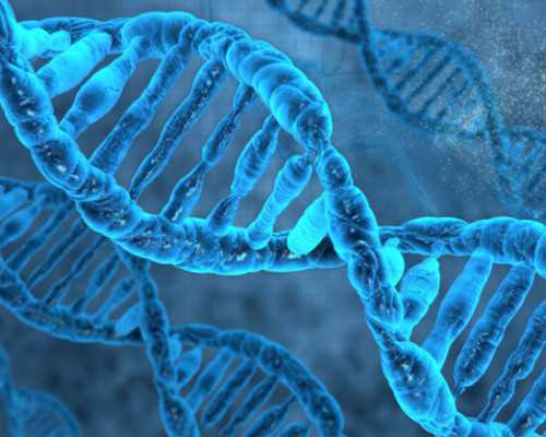 济南靠谱的代孕电话,染色体异常无法生健康宝宝？海外三代试管来帮忙！-南京