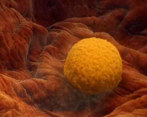 济南供卵助孕方案,海口试管婴儿医院大全？大家看看吧！-2023
年陕西陪产假新