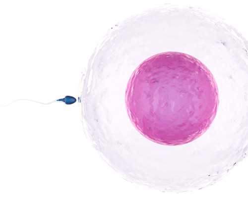 济南代孕套餐种类,50岁高龄，已经闭经，是否可以做试管婴儿？?_重庆亲子鉴定