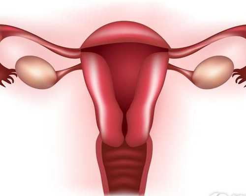 济南正规供卵的,试管婴儿移植后肚子不舒服正常吗_武穴第一人民医院可以做试