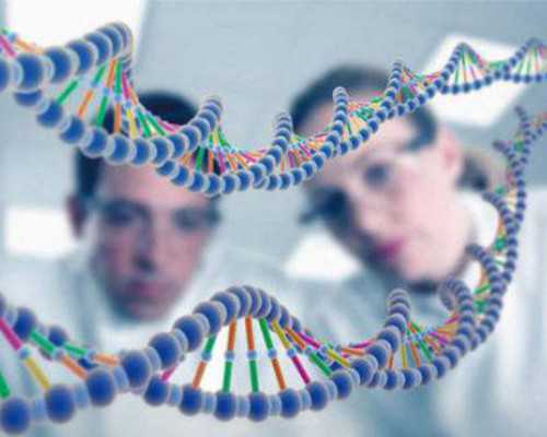 济南辅助代孕公司,北京正规医院供卵费用明细，加上试管移植也不超过这个数