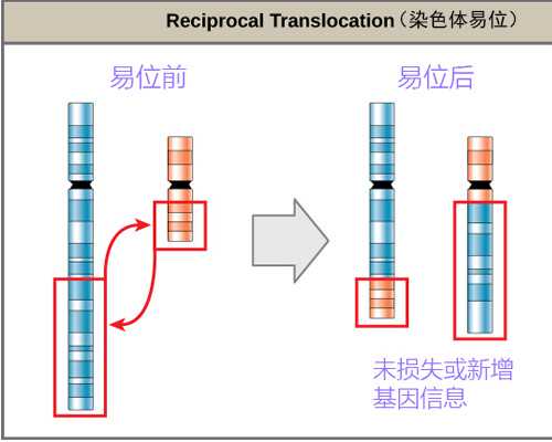 济南代孕包男孩套餐,去泰国做试管婴儿,卵巢多囊能够挑选微刺激性促-上海供卵