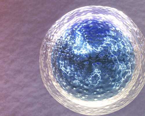 济南医院有代怀吗,我AMH0.53，医生说要抓紧时间做试管婴儿，我该准备些什么？