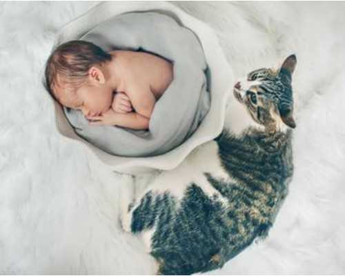 济南同性代怀官网,【试管移植后注意事项有哪些】现在就等10个工作日出报告了