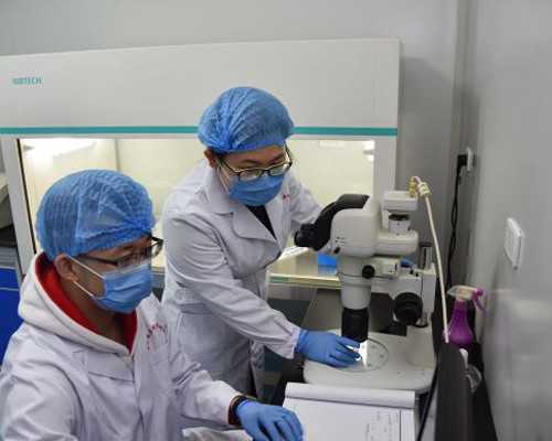 输卵管介入的作用是什么？