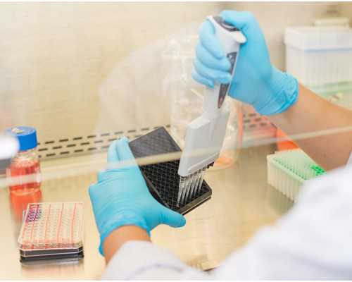 上海九院试管成功率？江苏省中医院试管婴儿成功率？